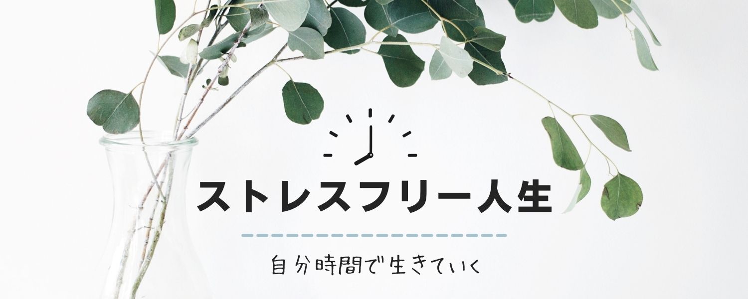 1日150km可能】ウーバーイーツでオススメ電動自転車 ブリジストン